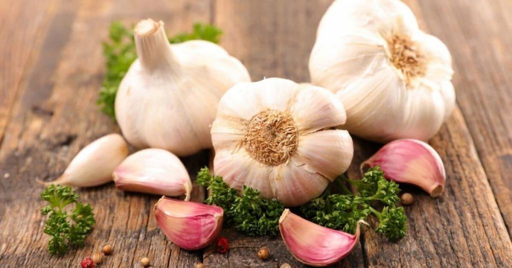 garlic