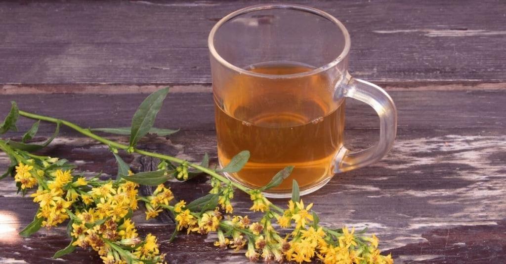 goldenrod tea